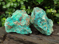 Natural Shattuckite with Chrysocolla & Malachite x 6 From Kaokoveld, Namibia