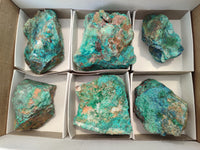 Natural Shattuckite with Chrysocolla & Malachite x 6 From Kaokoveld, Namibia