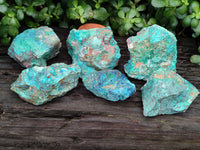 Natural Shattuckite with Chrysocolla & Malachite x 6 From Kaokoveld, Namibia