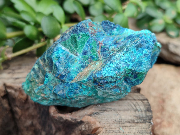 Natural Shattuckite with Chrysocolla & Malachite x 6 From Kaokoveld, Namibia