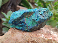 Natural Shattuckite with Chrysocolla & Malachite x 6 From Kaokoveld, Namibia
