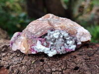 Natural Salrose Cobaltion Dolomite Specimens x 12 From Kakanda, Congo