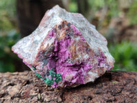 Natural Salrose Cobaltion Dolomite Specimens x 12 From Kakanda, Congo