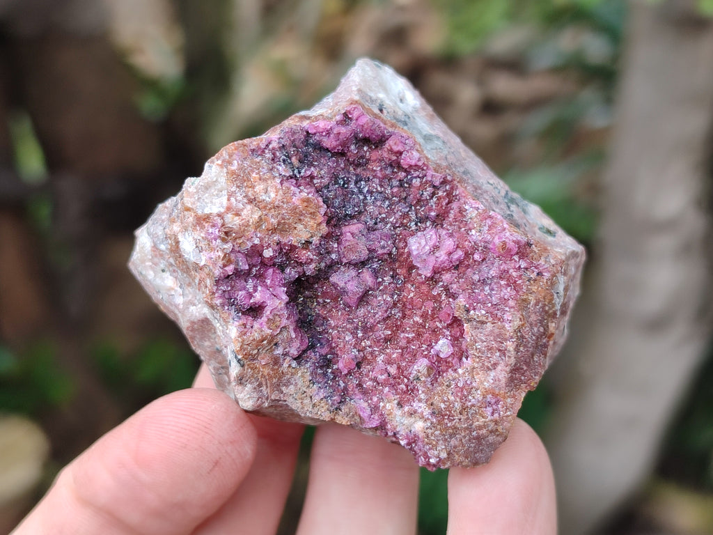 Natural Salrose Cobaltion Dolomite Specimens x 12 From Kakanda, Congo - Toprock Gemstones and Minerals 