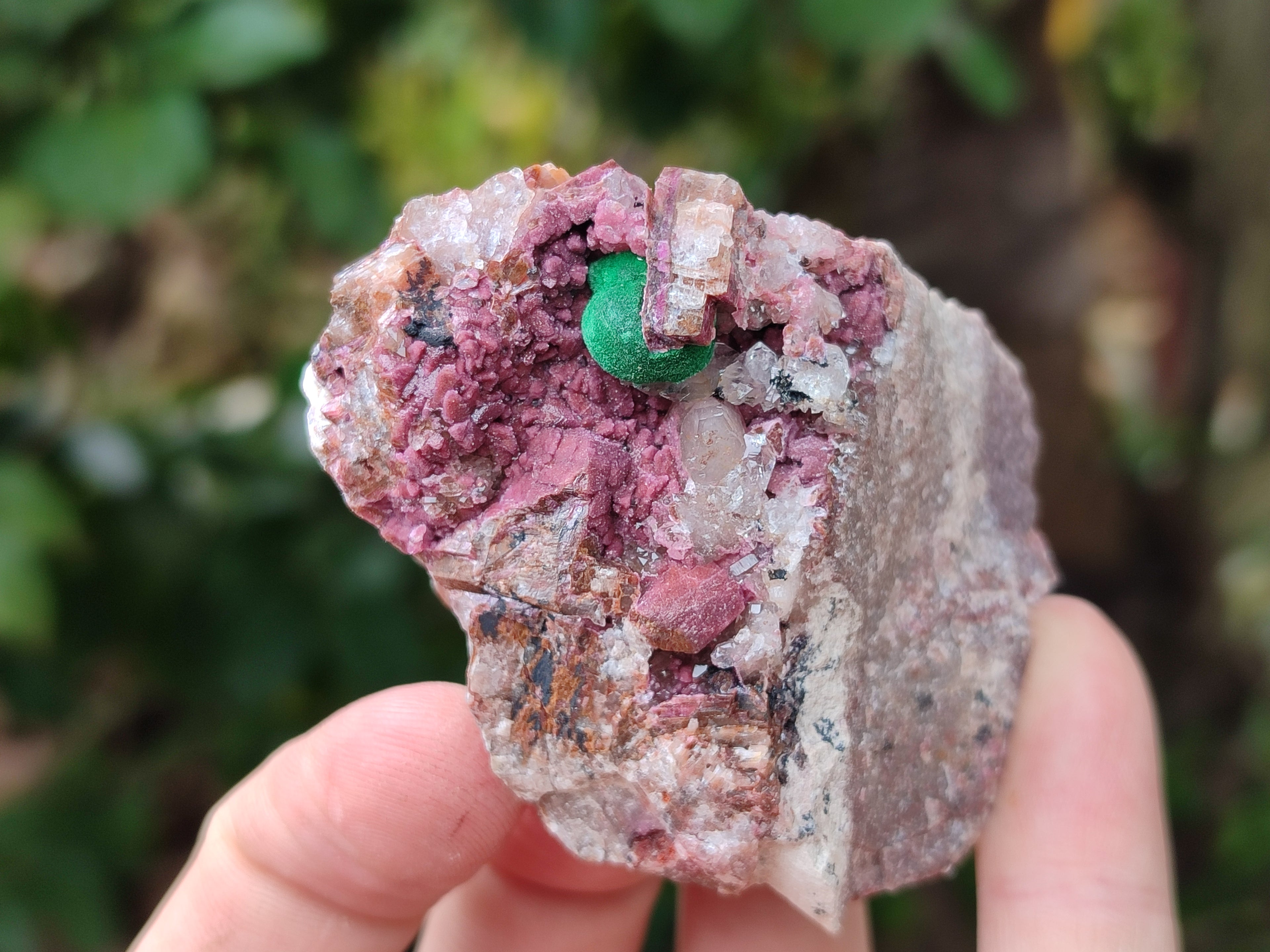 Natural Salrose Cobaltion Dolomite Specimens x 12 From Kakanda, Congo - Toprock Gemstones and Minerals 