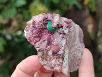 Natural Salrose Cobaltion Dolomite Specimens x 12 From Kakanda, Congo