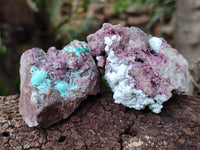 Natural Salrose Cobaltion Dolomite Specimens x 12 From Kakanda, Congo