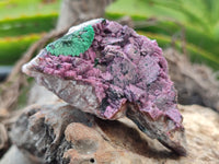 Natural Salrose Cobaltion Dolomite Specimens x 12 From Kakanda, Congo