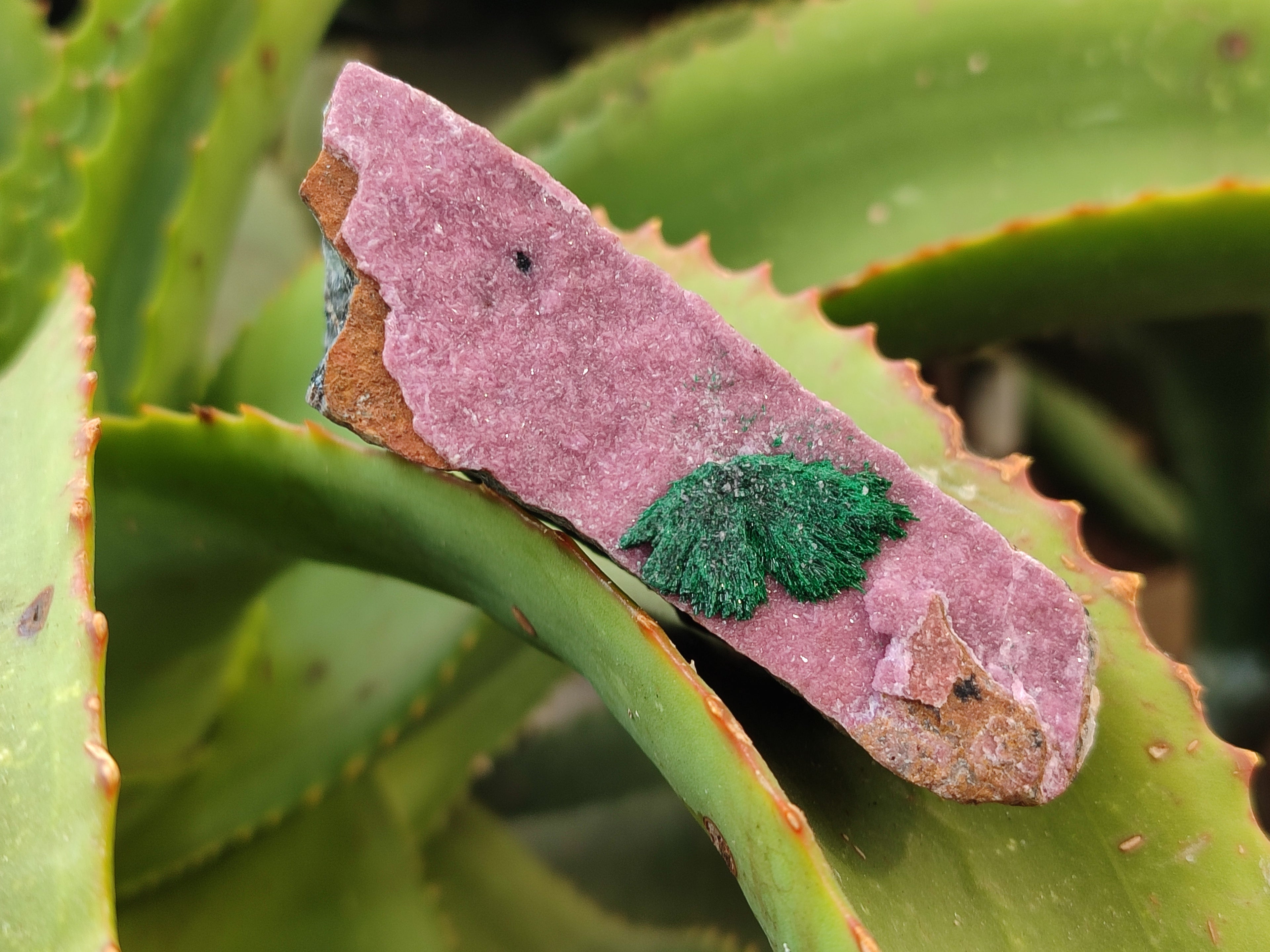 Natural Salrose Cobaltion Dolomite Specimens x 12 From Kakanda, Congo - Toprock Gemstones and Minerals 