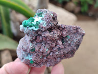 Natural Salrose Cobaltion Dolomite Specimens x 12 From Kakanda, Congo