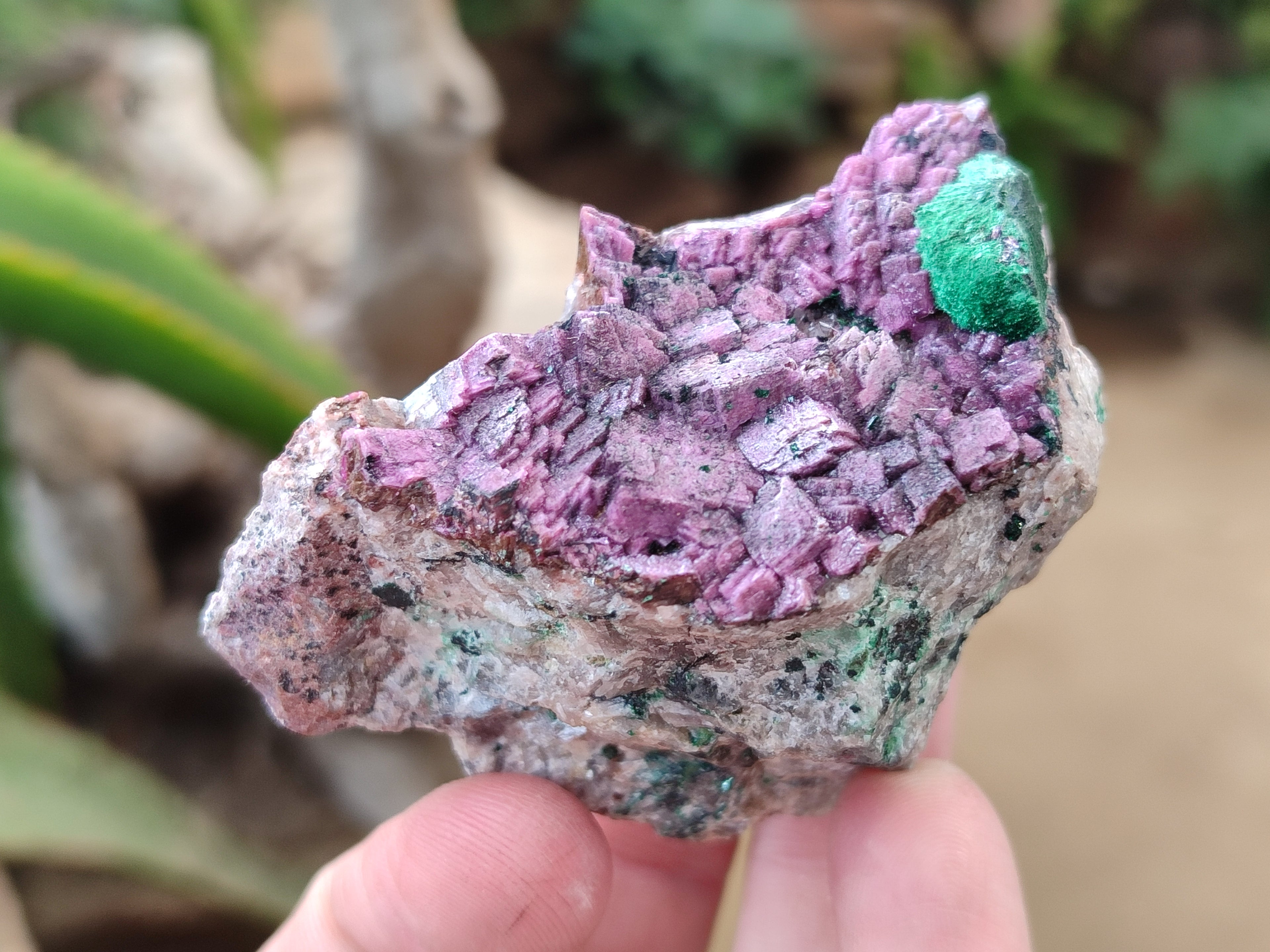 Natural Salrose Cobaltion Dolomite Specimens x 12 From Kakanda, Congo - Toprock Gemstones and Minerals 