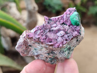 Natural Salrose Cobaltion Dolomite Specimens x 12 From Kakanda, Congo