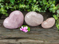 Polished Rose Quartz Hearts x 3 From Ambatondrazaka, Madagascar