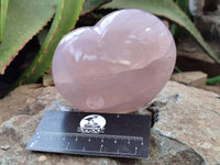 Polished Rose Quartz Hearts x 3 From Ambatondrazaka, Madagascar