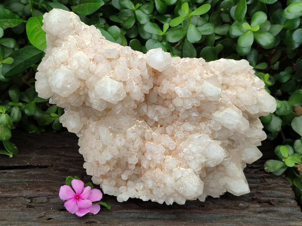 Natural Quartz Cluster x 1 From Madagascar - Toprock Gemstones and Minerals 