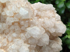 Natural Quartz Cluster x 1 From Madagascar - Toprock Gemstones and Minerals 