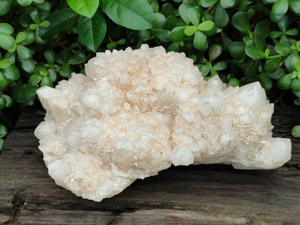 Natural Quartz Cluster x 1 From Madagascar - Toprock Gemstones and Minerals 
