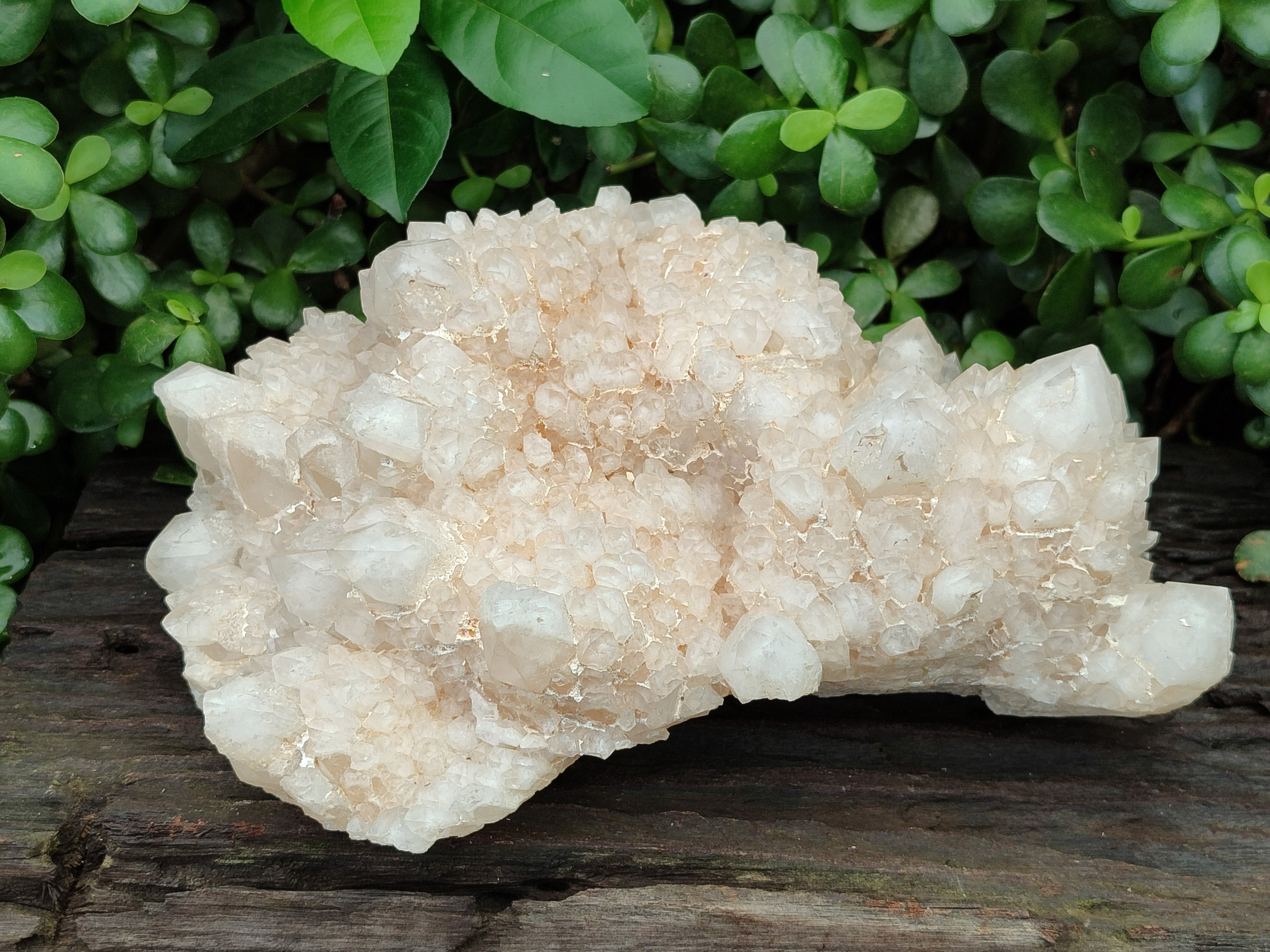 Natural Quartz Cluster x 1 From Madagascar - Toprock Gemstones and Minerals 