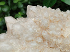 Natural Quartz Cluster x 1 From Madagascar - Toprock Gemstones and Minerals 