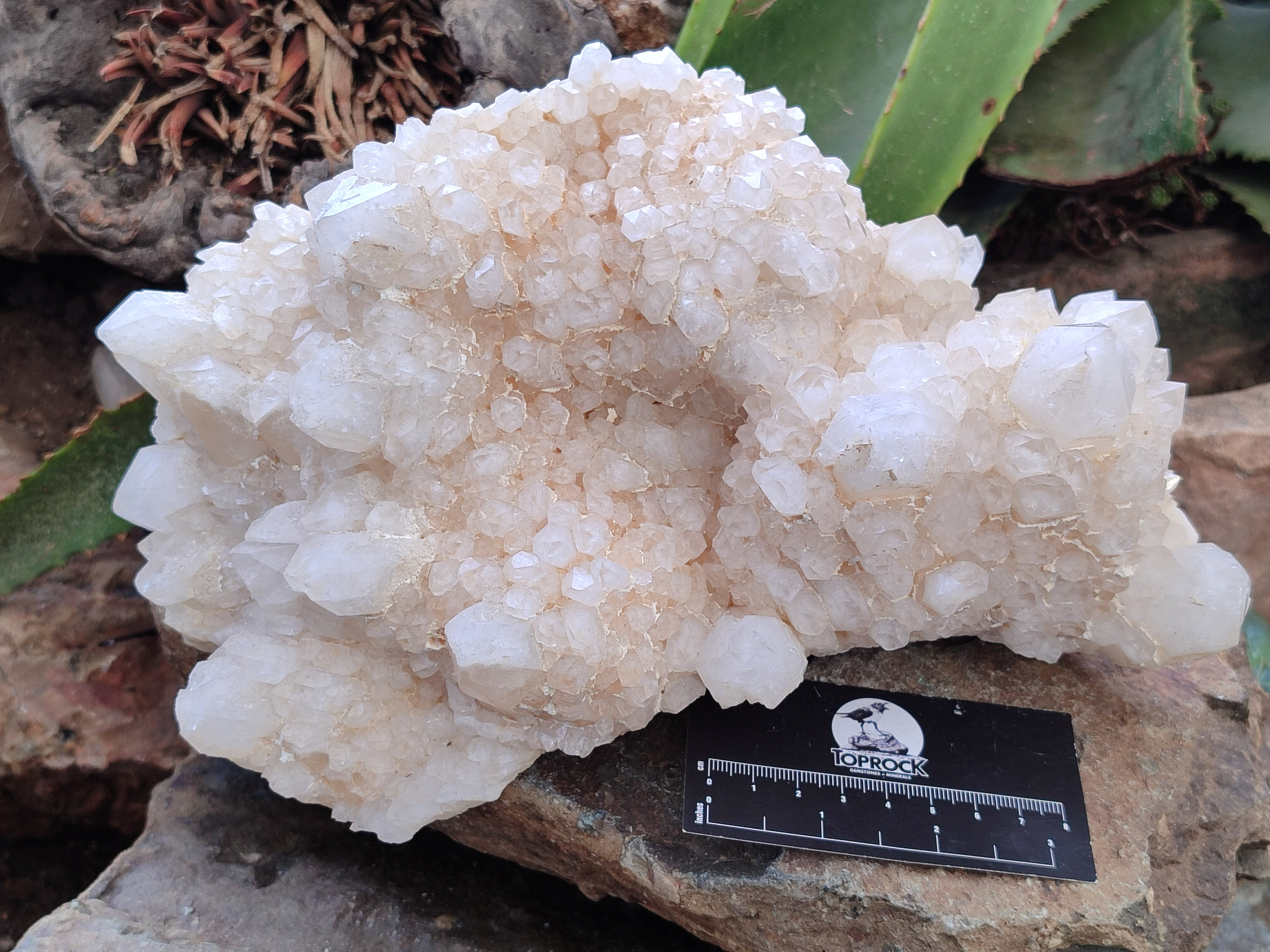 Natural Quartz Cluster x 1 From Madagascar - Toprock Gemstones and Minerals 