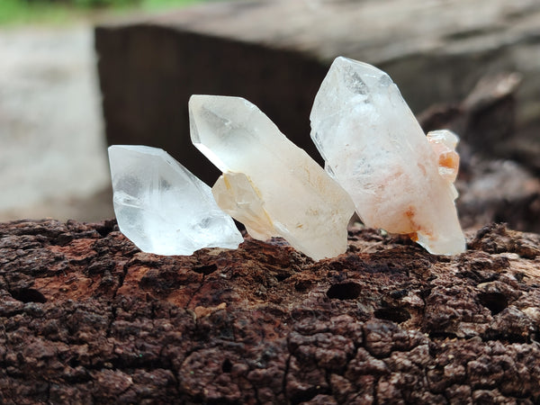 Natural Mine Run Crystals x 2.57 Kg Lot From Madagascar