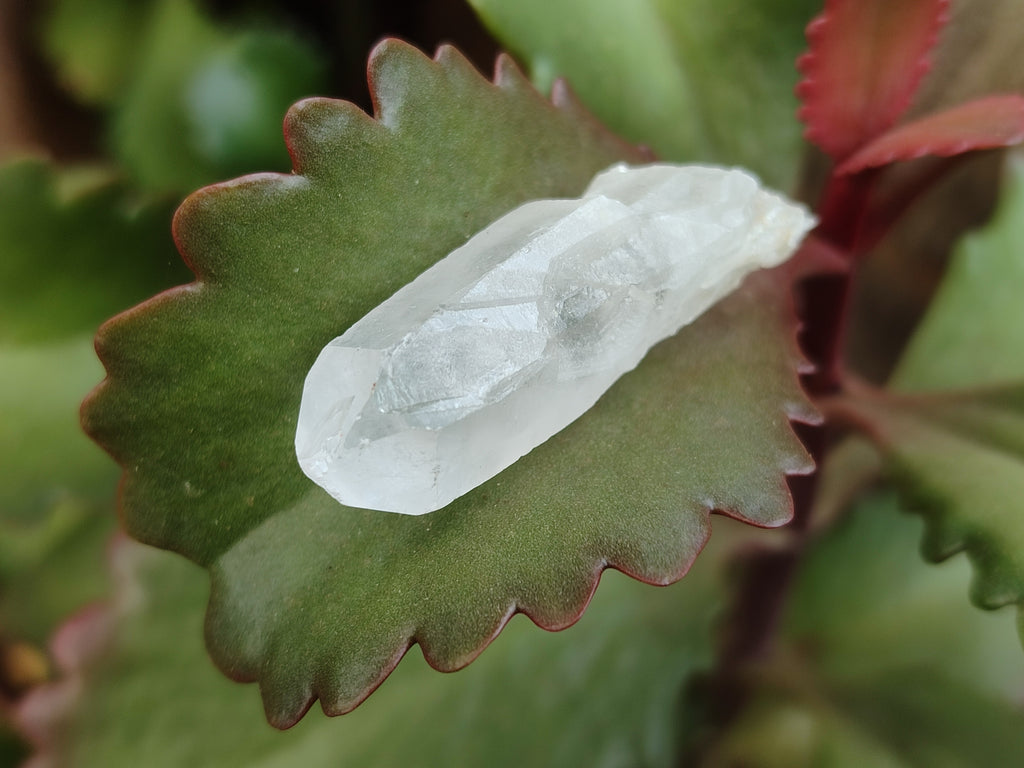 Natural Mine Run Crystals x 2.57 Kg Lot From Madagascar - Toprock Gemstones and Minerals 