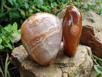 Polished Fossil Flower Agate Standing Free Forms x 4 From Antsahalova, Madagascar