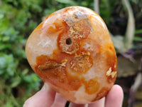 Polished Fossil Flower Agate Standing Free Forms x 4 From Antsahalova, Madagascar