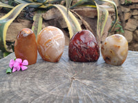 Polished Fossil Flower Agate Standing Free Forms x 4 From Antsahalova, Madagascar