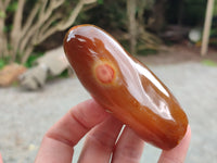 Polished Fossil Flower Agate Standing Free Forms x 4 From Antsahalova, Madagascar