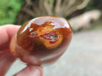 Polished Fossil Flower Agate Standing Free Forms x 4 From Antsahalova, Madagascar