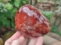 Polished Fossil Flower Agate Standing Free Forms x 4 From Antsahalova, Madagascar