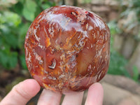 Polished Fossil Flower Agate Standing Free Forms x 4 From Antsahalova, Madagascar