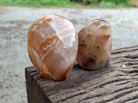 Polished Fossil Flower Agate Standing Free Forms x 4 From Antsahalova, Madagascar