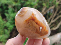 Polished Fossil Flower Agate Standing Free Forms x 4 From Antsahalova, Madagascar