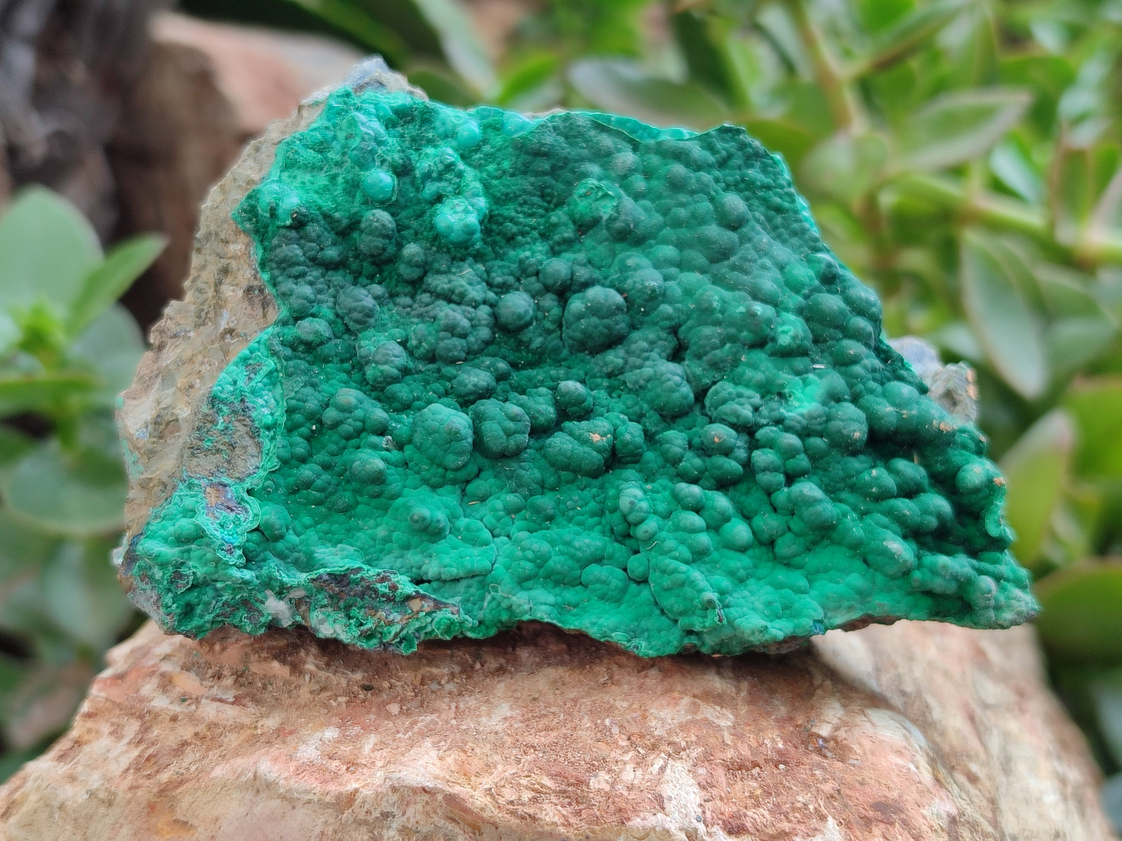 Natural Crystalline Malachite Specimens x 6 From Tenke Fungurume, Congo - Toprock Gemstones and Minerals 