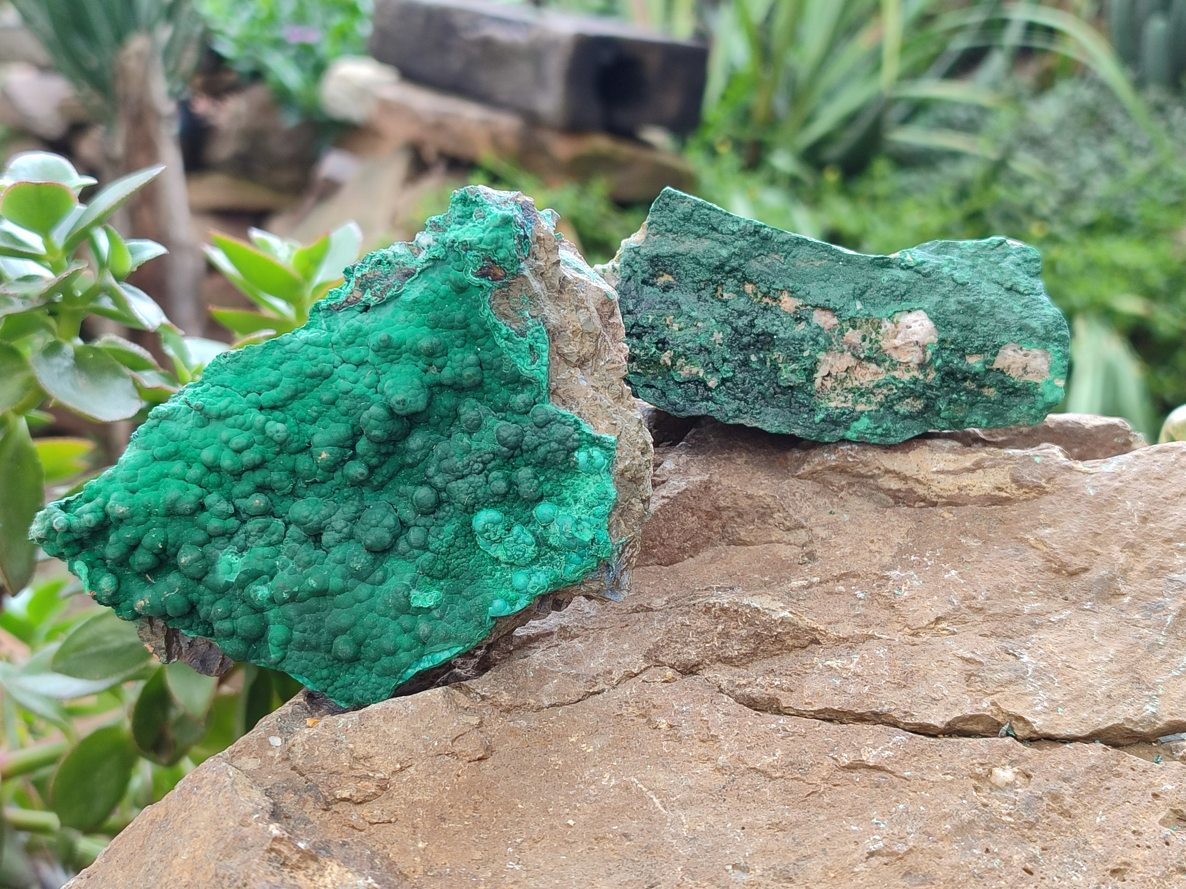 Natural Crystalline Malachite Specimens x 6 From Tenke Fungurume, Congo - Toprock Gemstones and Minerals 