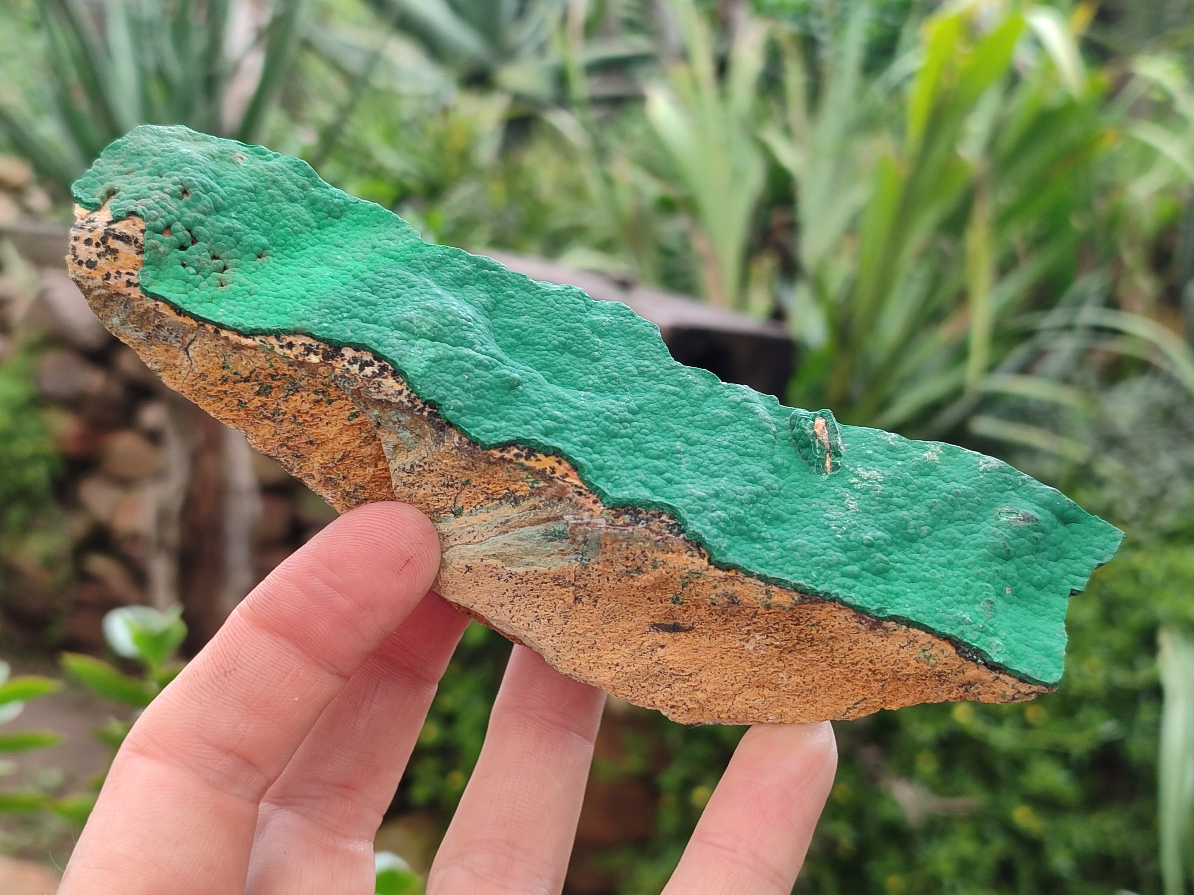 Natural Crystalline Malachite Specimens x 6 From Tenke Fungurume, Congo - Toprock Gemstones and Minerals 