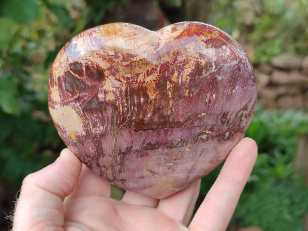 Polished Podocarpus Petrified Wood Hearts x 2 From Mahajanga, Madagascar - Toprock Gemstones and Minerals 