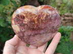 Polished Podocarpus Petrified Wood Hearts x 2 From Mahajanga, Madagascar - Toprock Gemstones and Minerals 