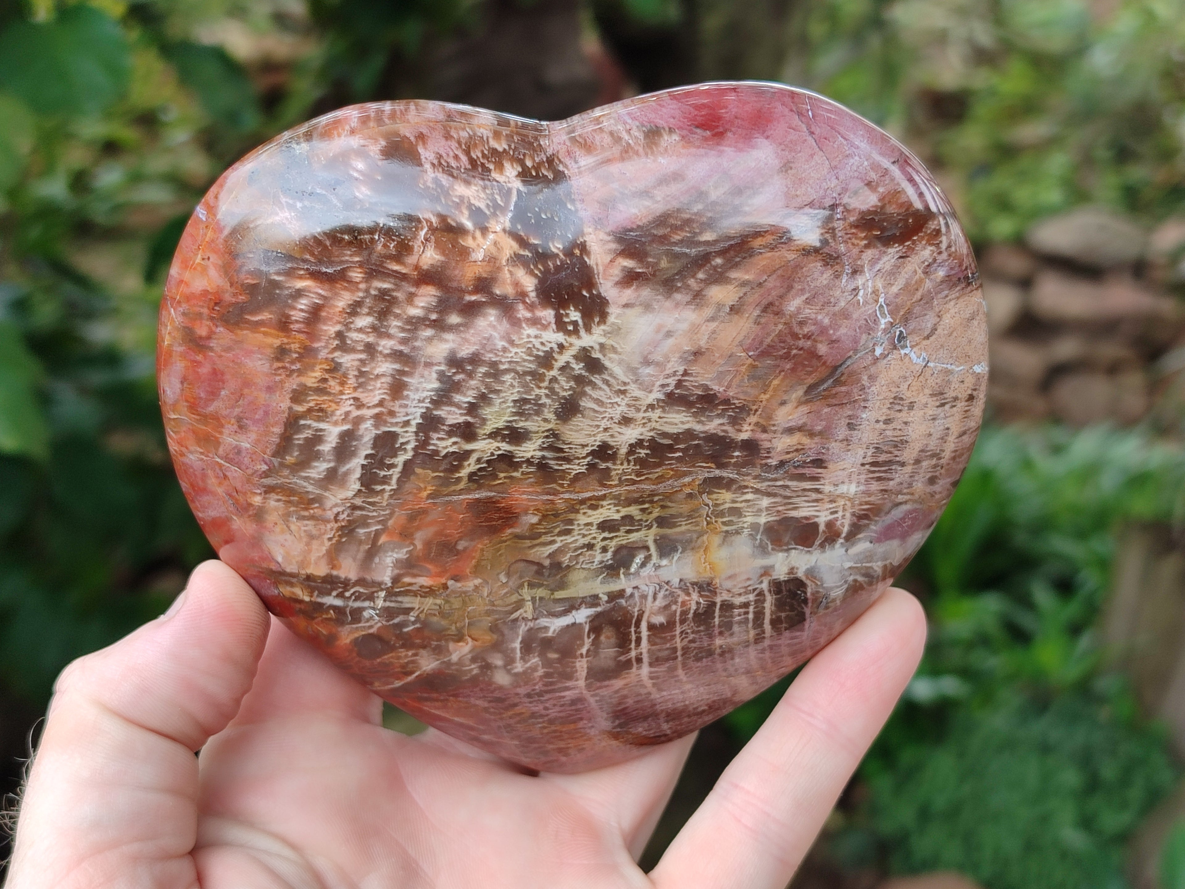 Polished Podocarpus Petrified Wood Hearts x 2 From Mahajanga, Madagascar - Toprock Gemstones and Minerals 