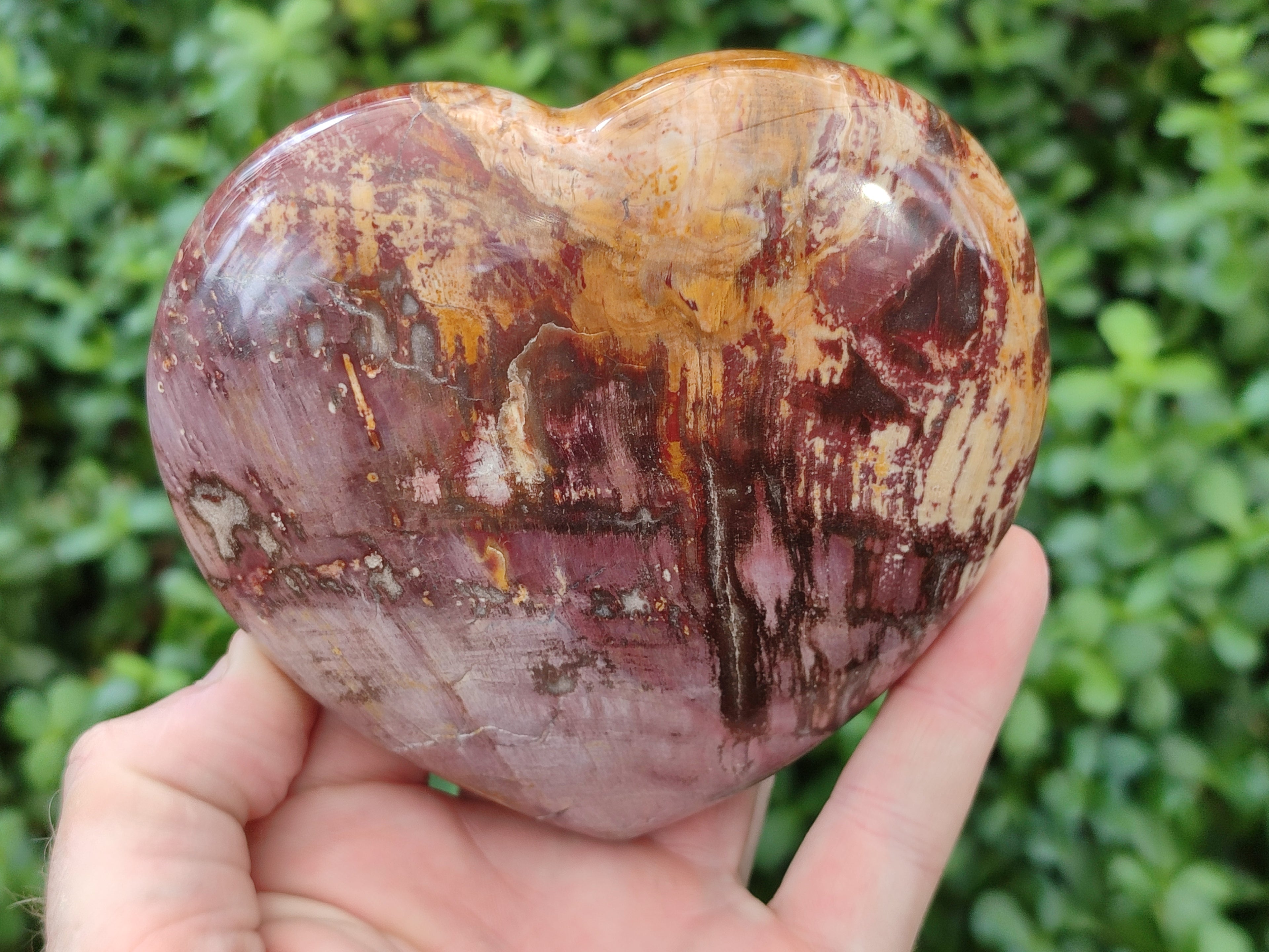 Polished Podocarpus Petrified Wood Hearts x 2 From Mahajanga, Madagascar - Toprock Gemstones and Minerals 