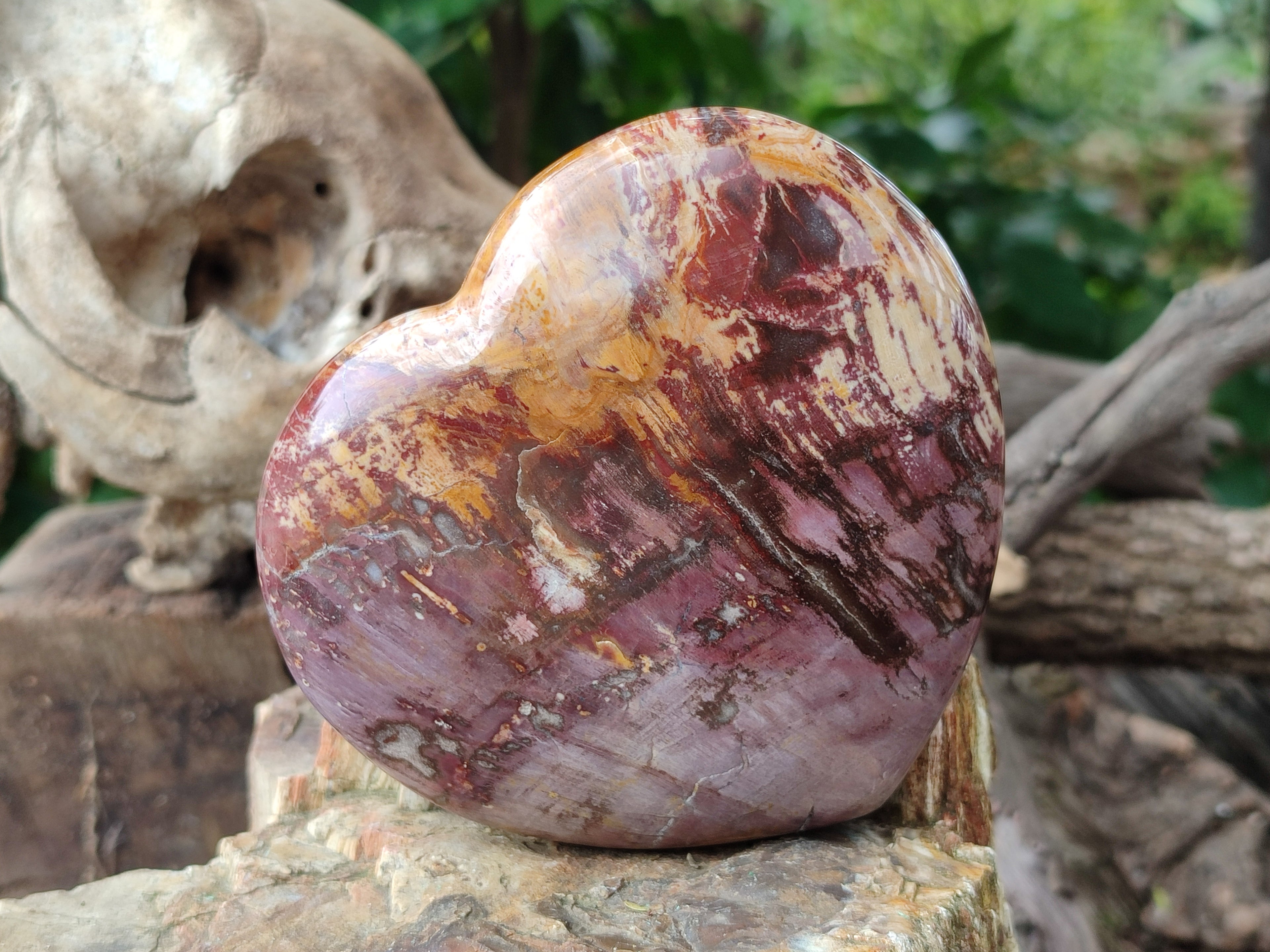 Polished Podocarpus Petrified Wood Hearts x 2 From Mahajanga, Madagascar - Toprock Gemstones and Minerals 