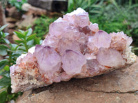 Natural Amethyst Spirit Quartz Clusters x 2 From Boekenhouthoek, South Africa