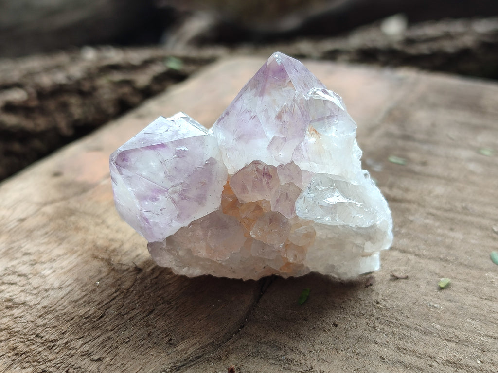 Natural Amethyst Spirit Quartz Clusters x 20 From Boekenhouthoek, South Africa - Toprock Gemstones and Minerals 