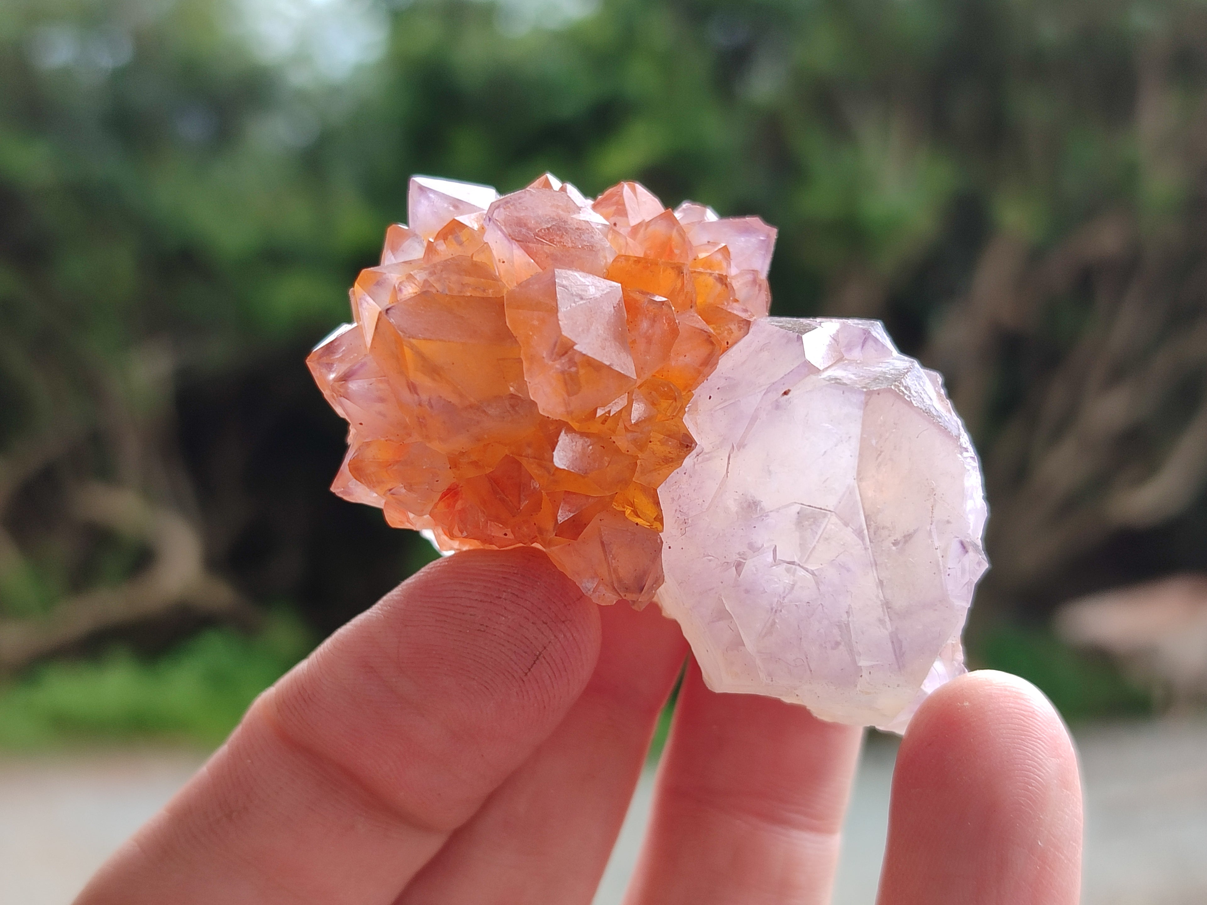 Natural Amethyst Spirit Quartz Clusters x 20 From Boekenhouthoek, South Africa - Toprock Gemstones and Minerals 