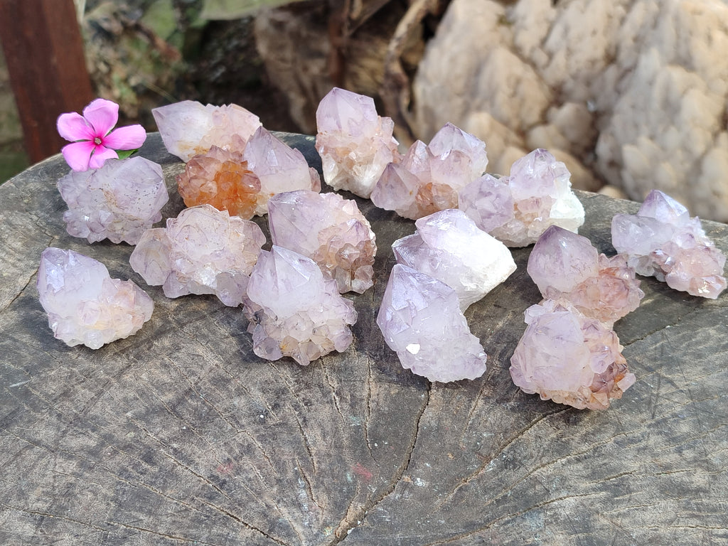 Natural Amethyst Spirit Quartz Clusters x 20 From Boekenhouthoek, South Africa - Toprock Gemstones and Minerals 
