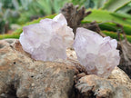 Natural Amethyst Spirit Quartz Clusters x 20 From Boekenhouthoek, South Africa - Toprock Gemstones and Minerals 