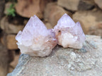 Natural Amethyst Spirit Quartz Clusters x 20 From Boekenhouthoek, South Africa - Toprock Gemstones and Minerals 