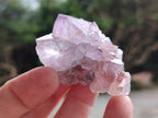 Natural Amethyst Spirit Quartz Clusters x 20 From Boekenhouthoek, South Africa - Toprock Gemstones and Minerals 